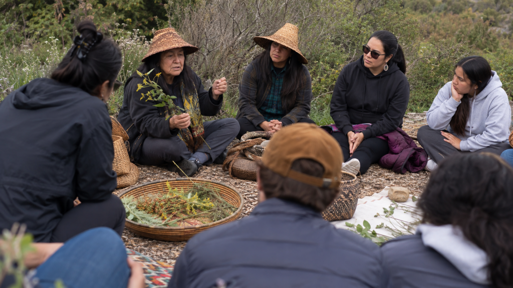 California Native cultural educators sharing traditional knowledge in an outdoor setting